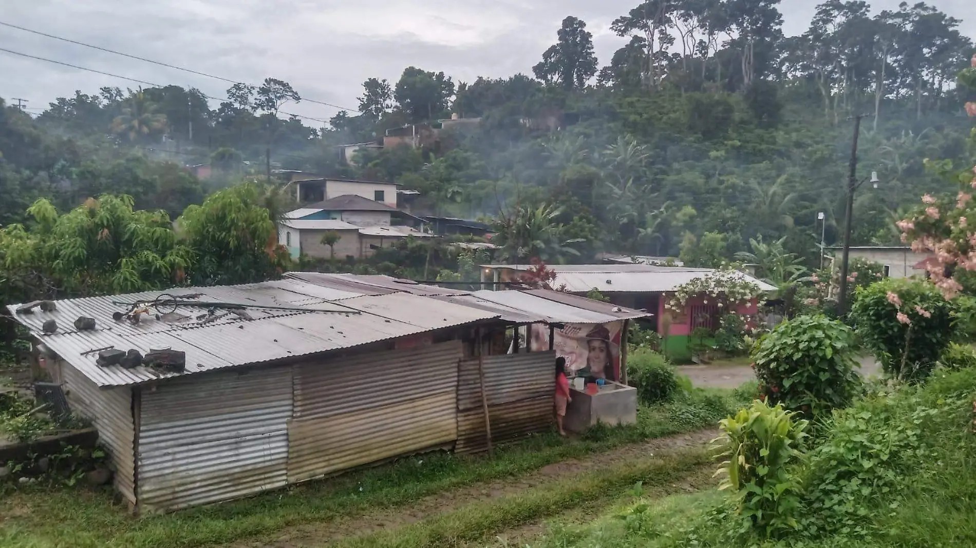 Barrido de casa